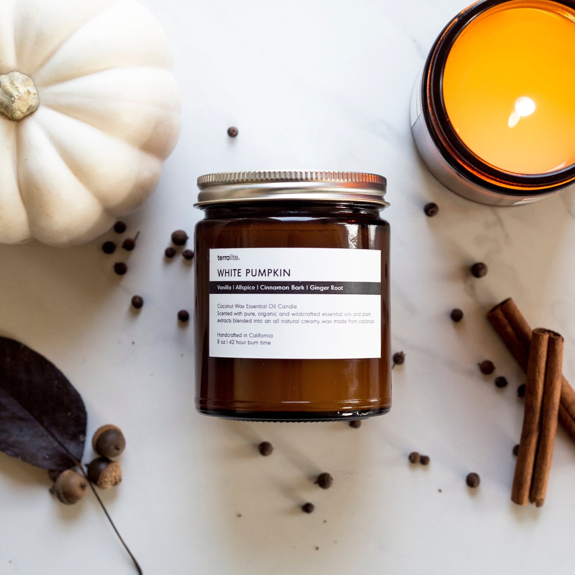 White Pumpkin Collection - Terralite