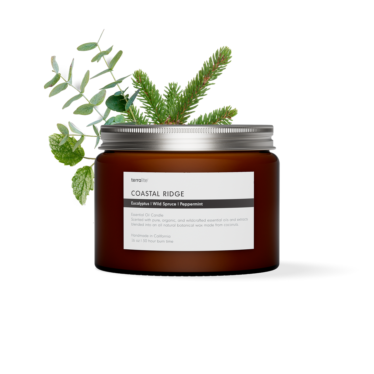 Coastal Ridge - Essential Oil Candle (large)