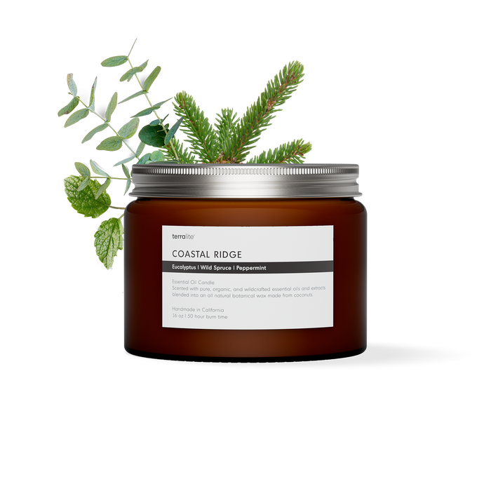 Coastal Ridge - Essential Oil Candle (large)