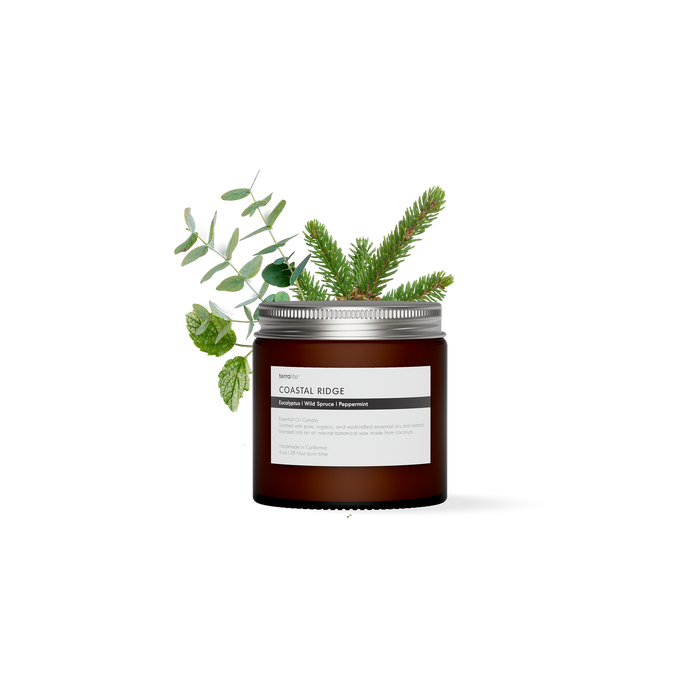Coastal Ridge - Essential Oil Candle (travel)