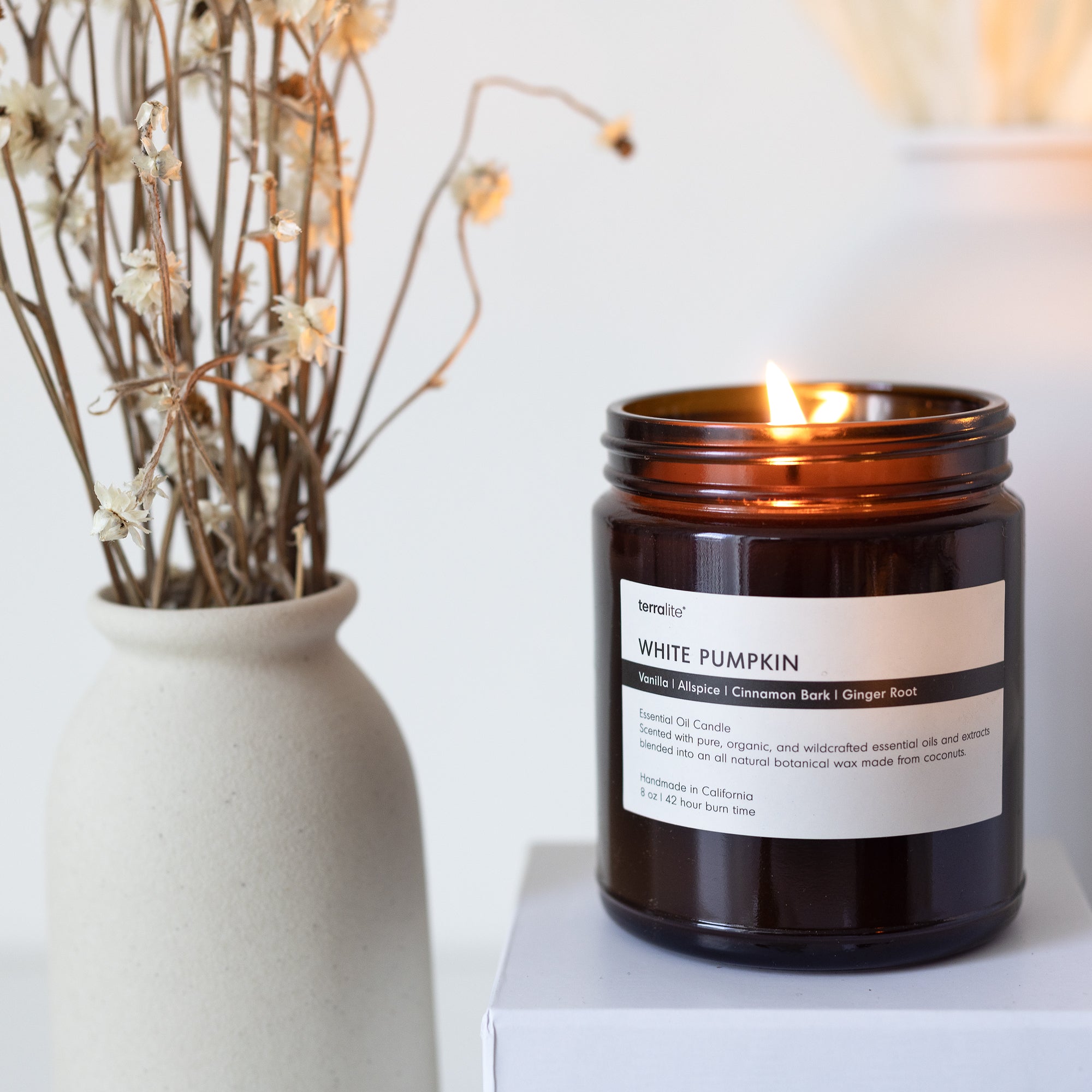 White Pumpkin Essential Oil Candle made with Vanilla, Allspice, Cinnamon, and Ginger. Autumn Fall Spice - Classic
