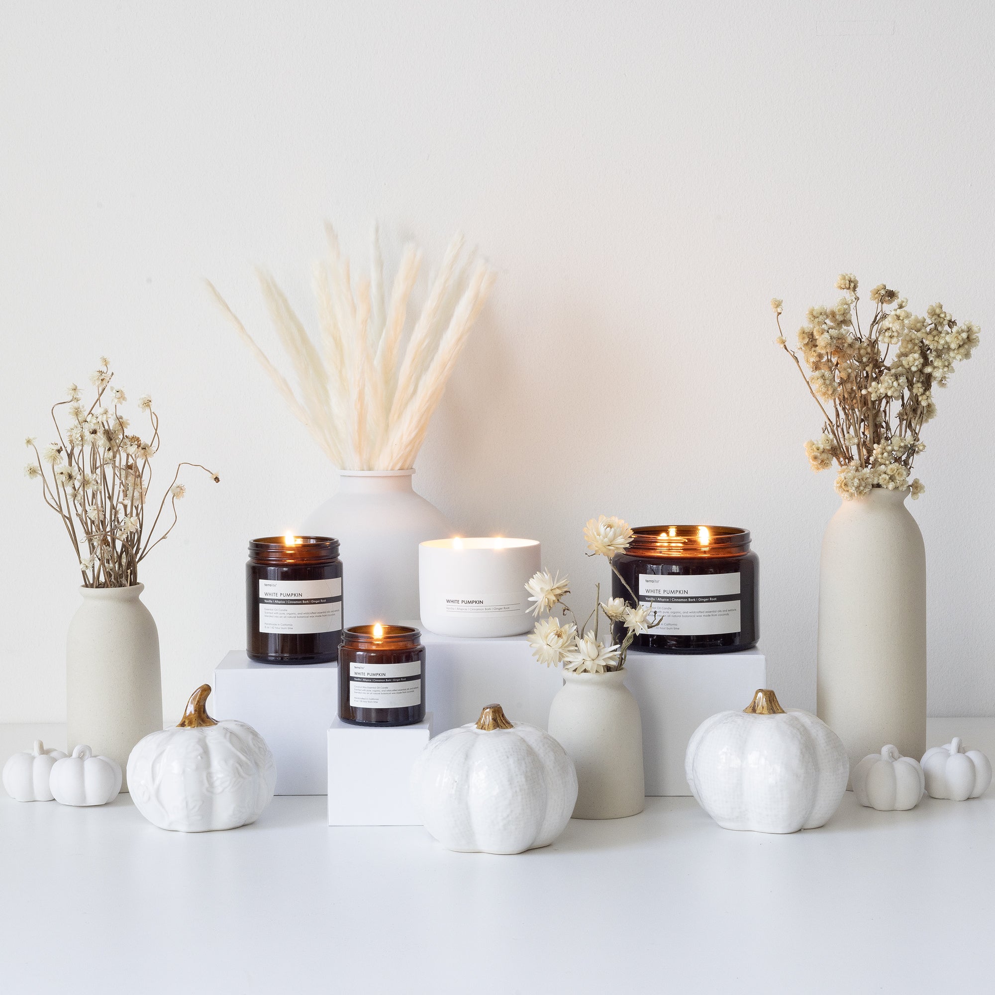 White Pumpkin Essential Oil Candle made with Vanilla, Allspice, Cinnamon, and Ginger. Autumn Fall Spice - Family
