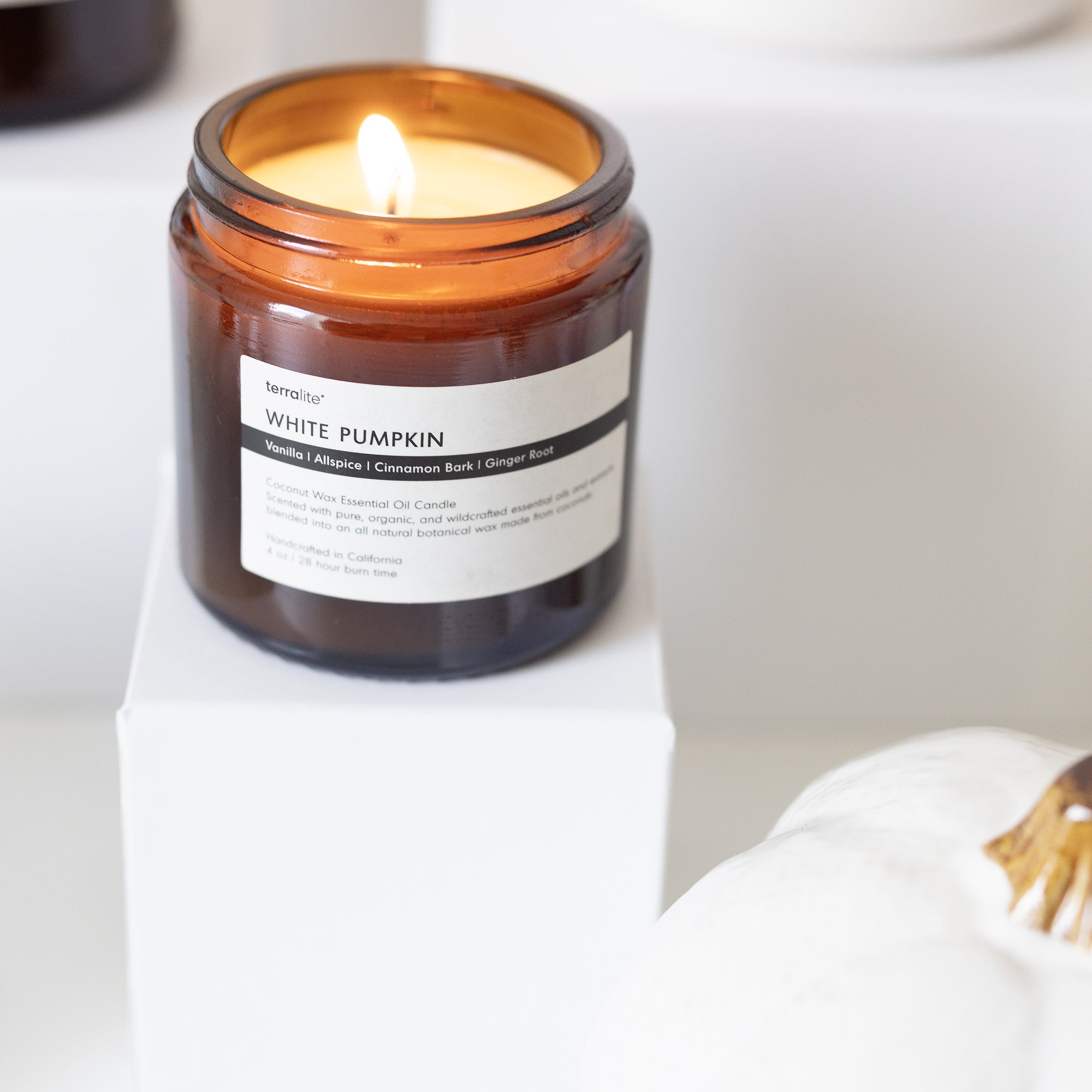 White Pumpkin Essential Oil Candle made with Vanilla, Allspice, Cinnamon, and Ginger. Autumn Fall Spice - Travel