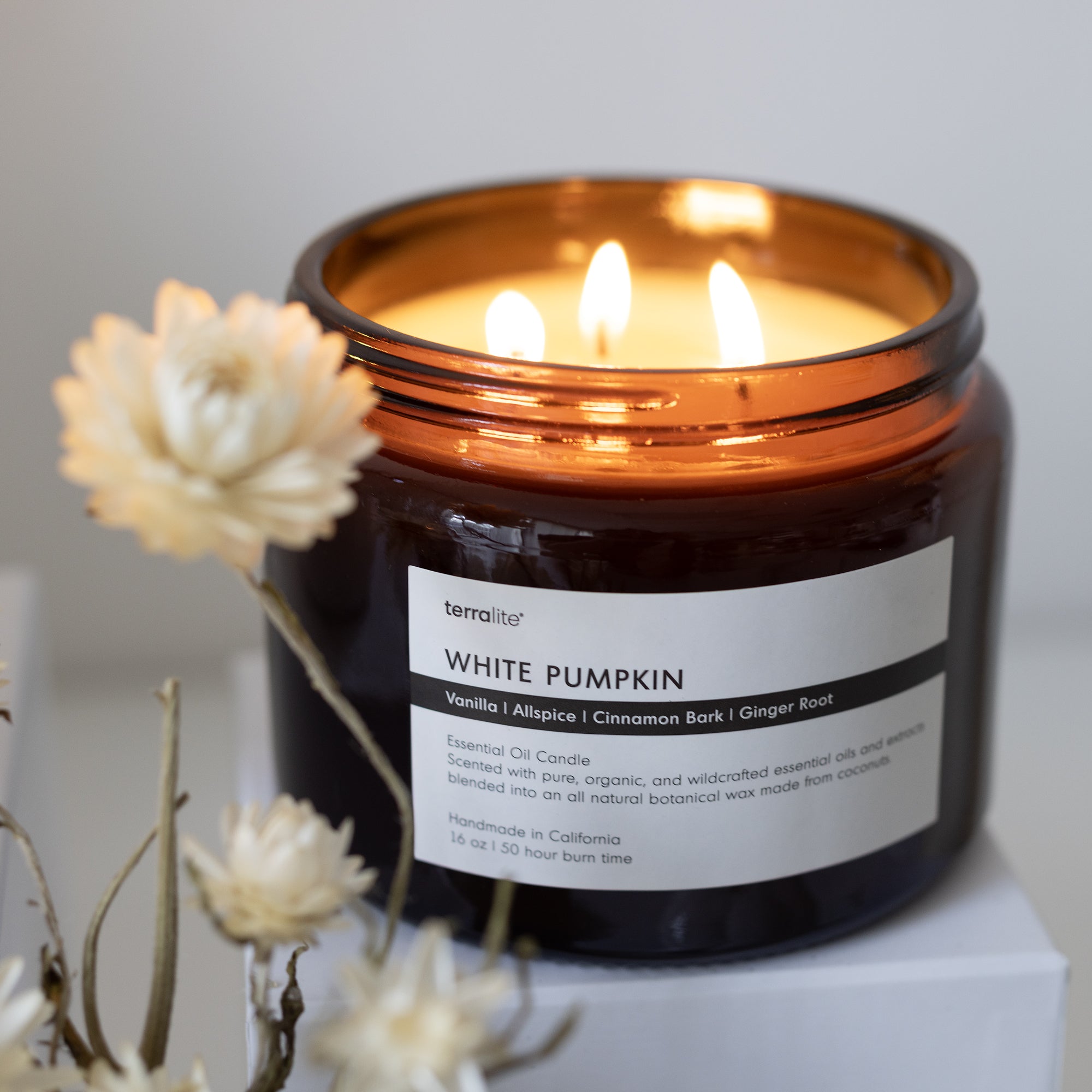 White Pumpkin Essential Oil Candle made with Vanilla, Allspice, Cinnamon, and Ginger. Autumn Fall Spice - Tri-Wick