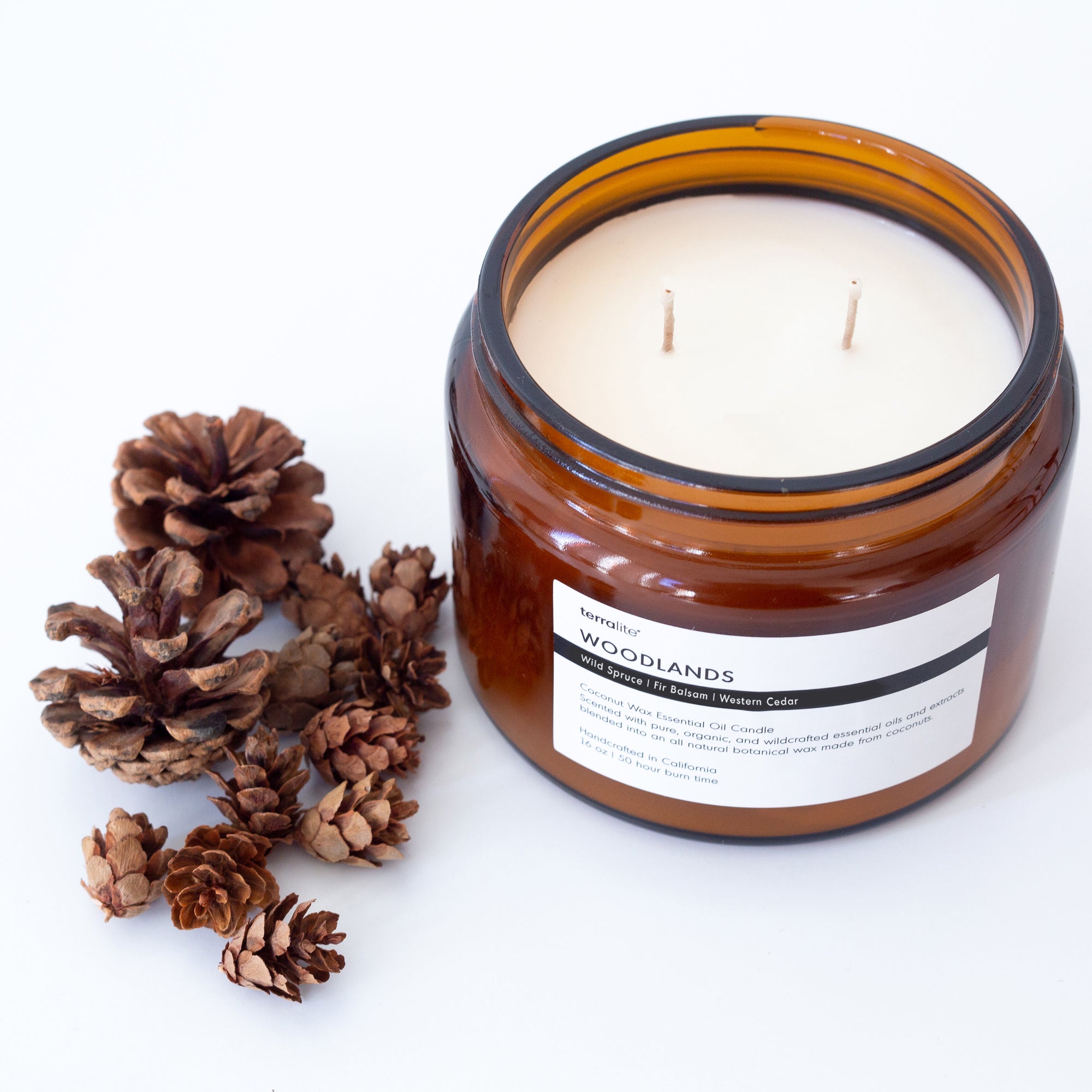 Woodlands Essential Oil Candle made with Wild Spruce, Fir Balsam, and Western Cedar. 2 wick size 