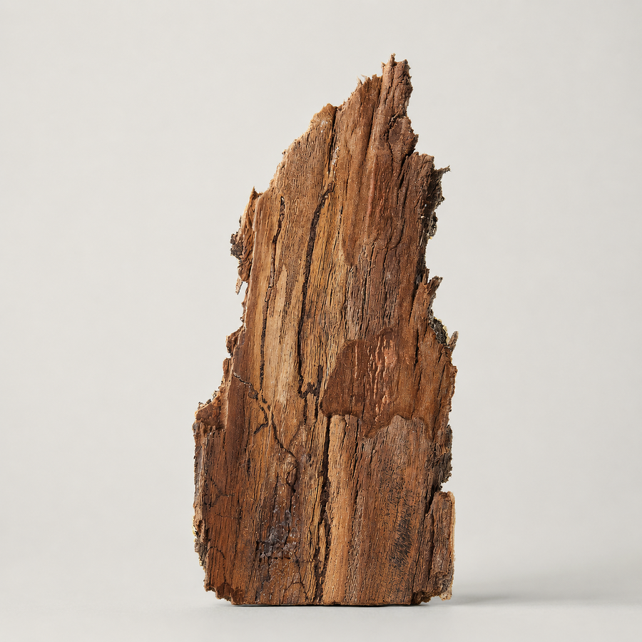 Texas Cedarwood