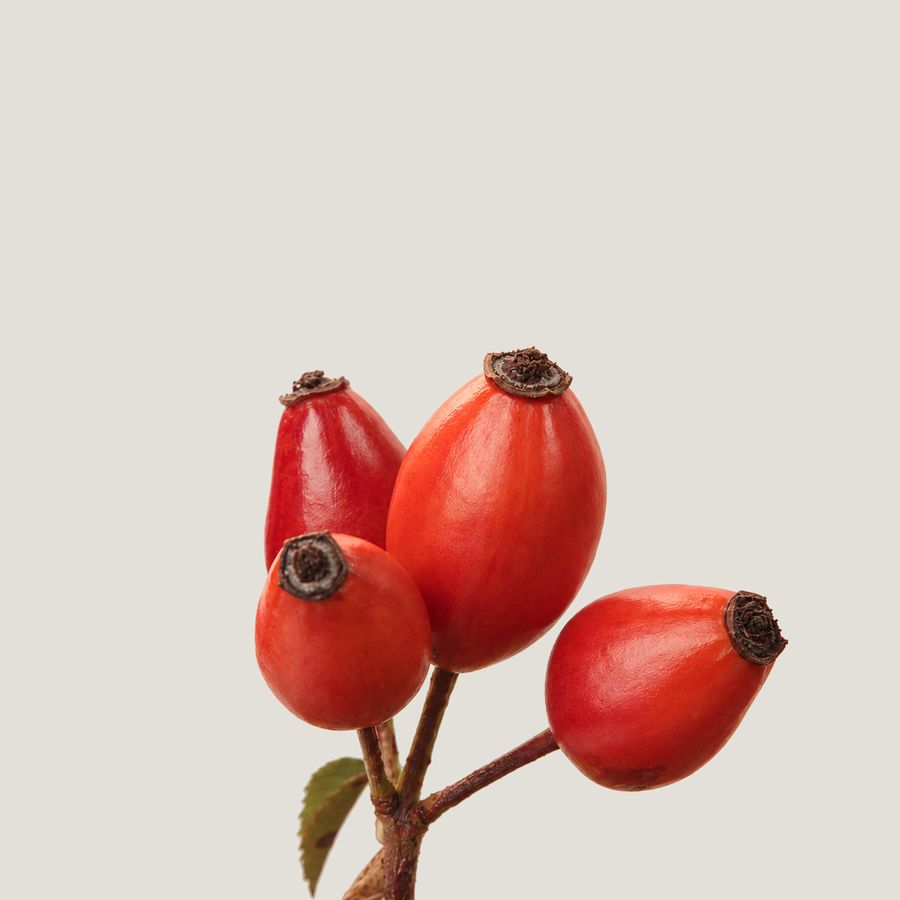 Rosehip
