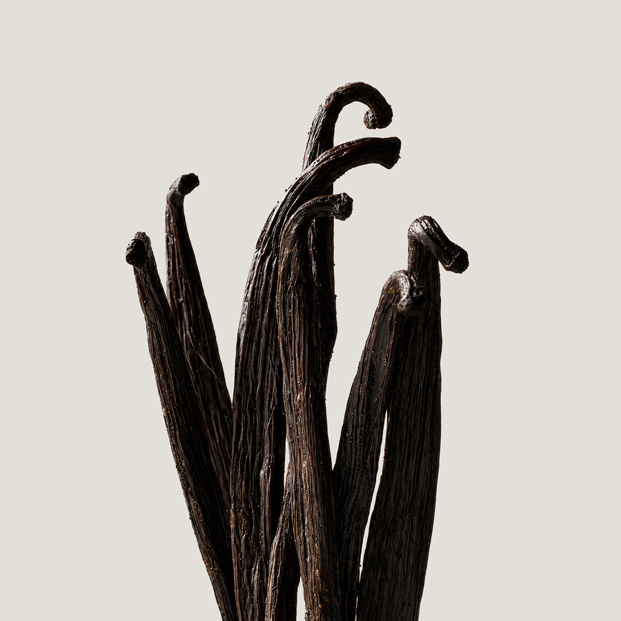 Vanilla