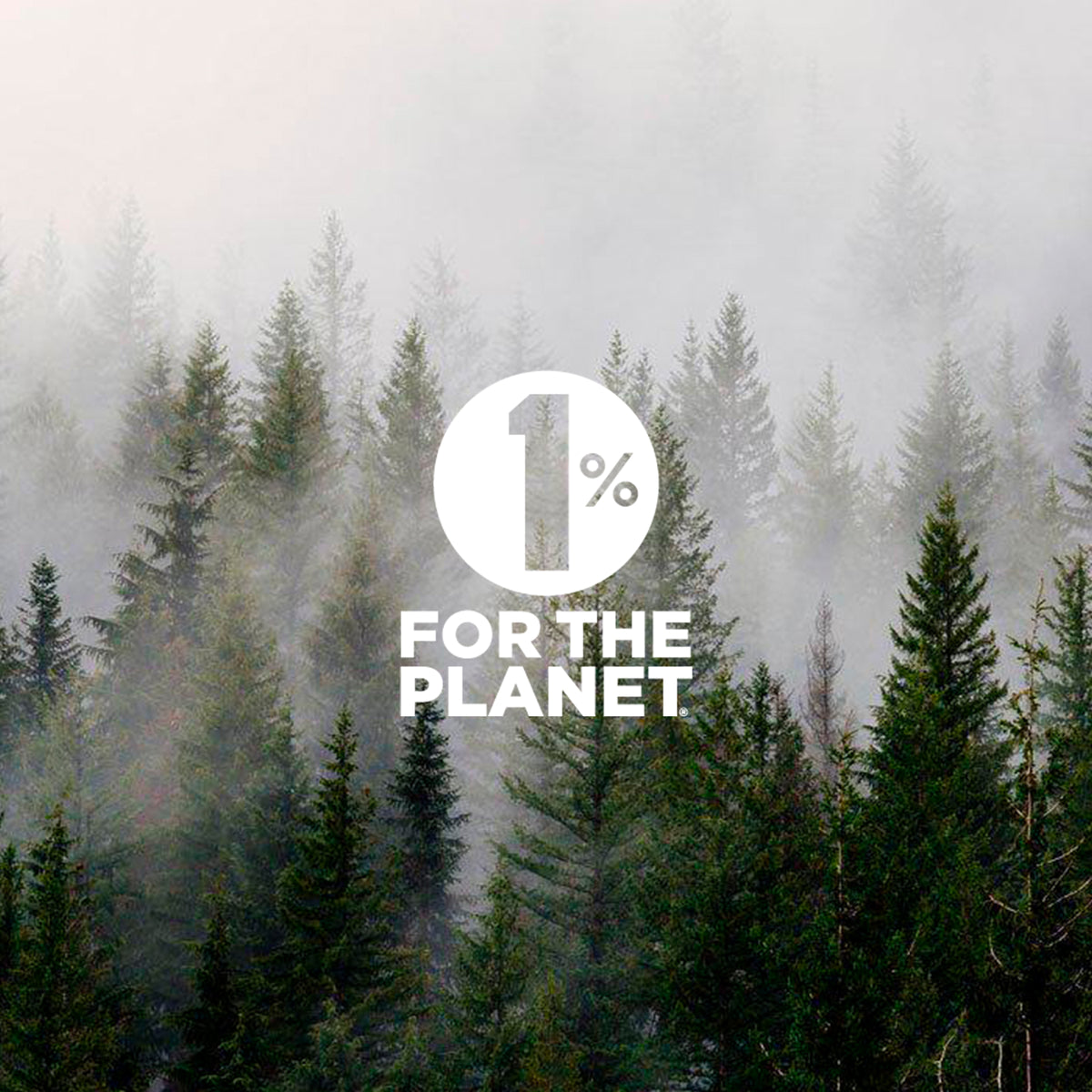1% for the Planet logo over a misty evergreen forest